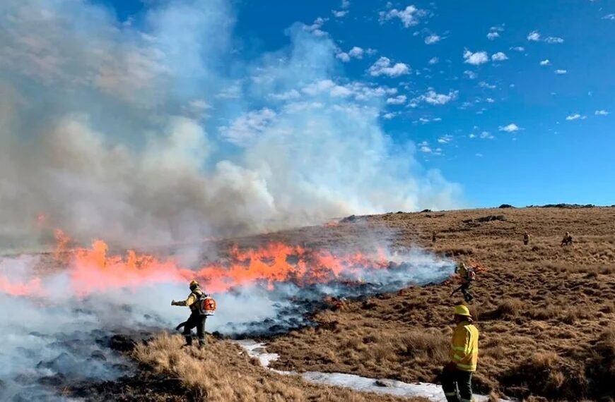 Incendio En C Rdoba M S De Hect Reas Fueron Arrasadas Por Las