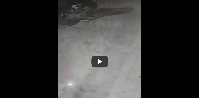 Ladrón robó un insólito elemento en el centro caucetero