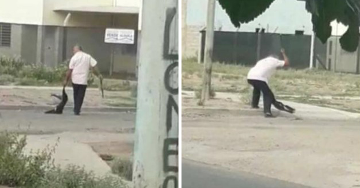 Su perro perdió una pelea y lo mató a palazos