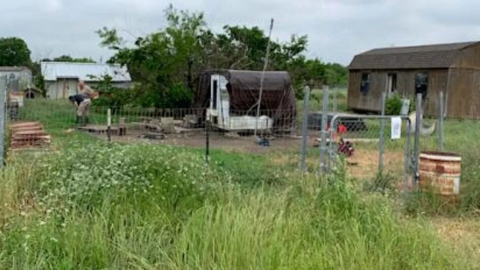 Hombre fue devorado por sus 18 perros