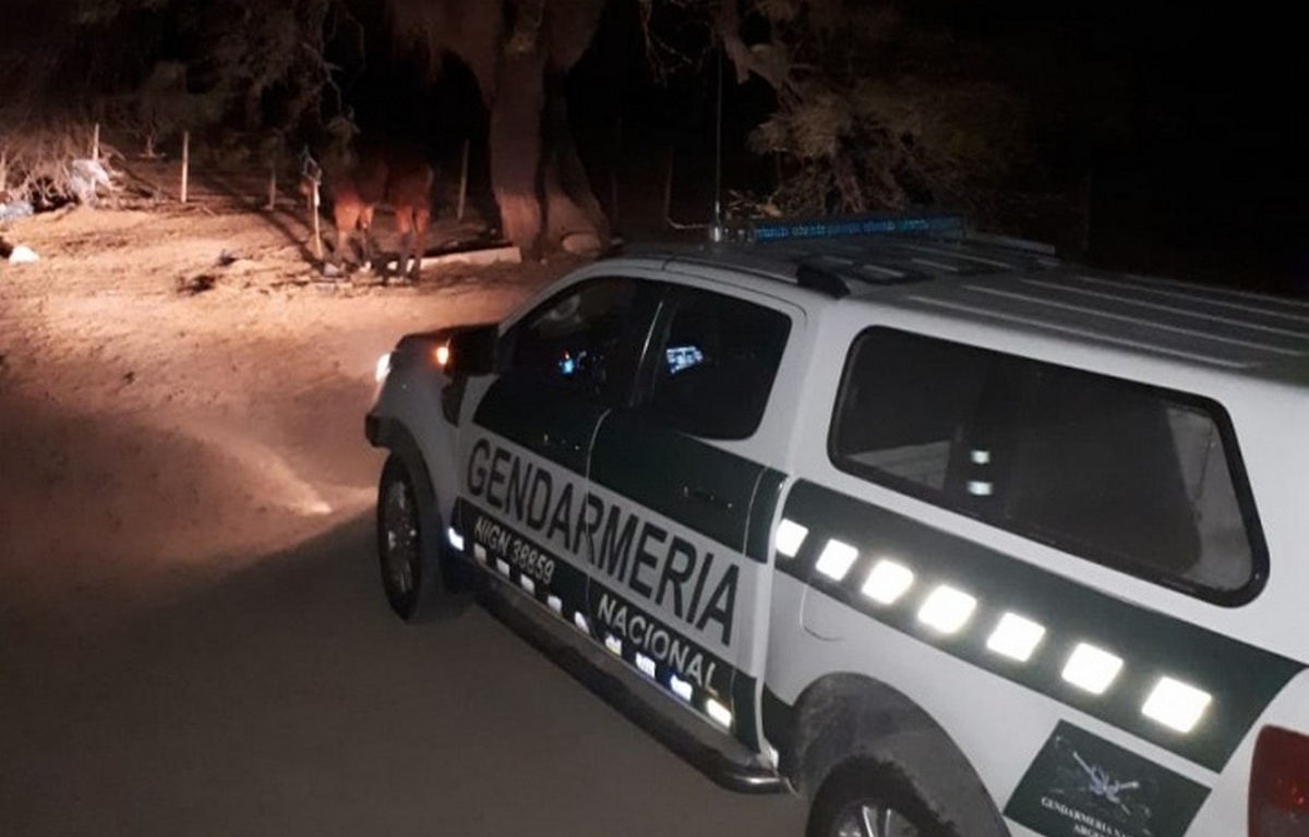 Crueldad Animal: encuentra caballo en estado de abandono