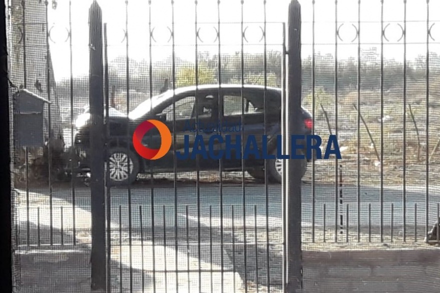 Se estrelló contra un eucaliptus y murió