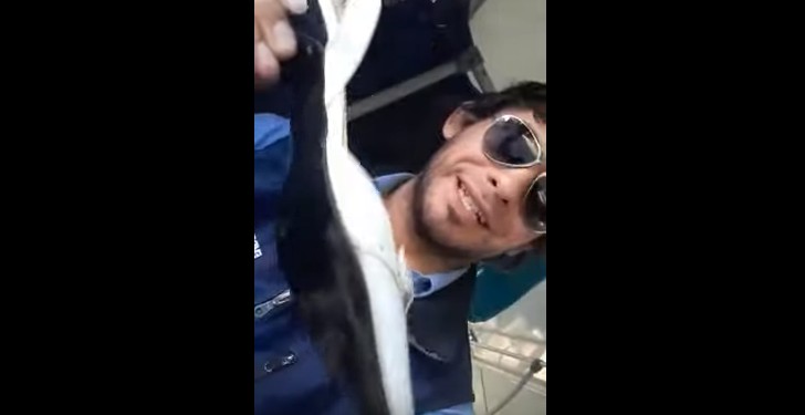 Chofer busca a la cenicienta que olvidó sus zapatos