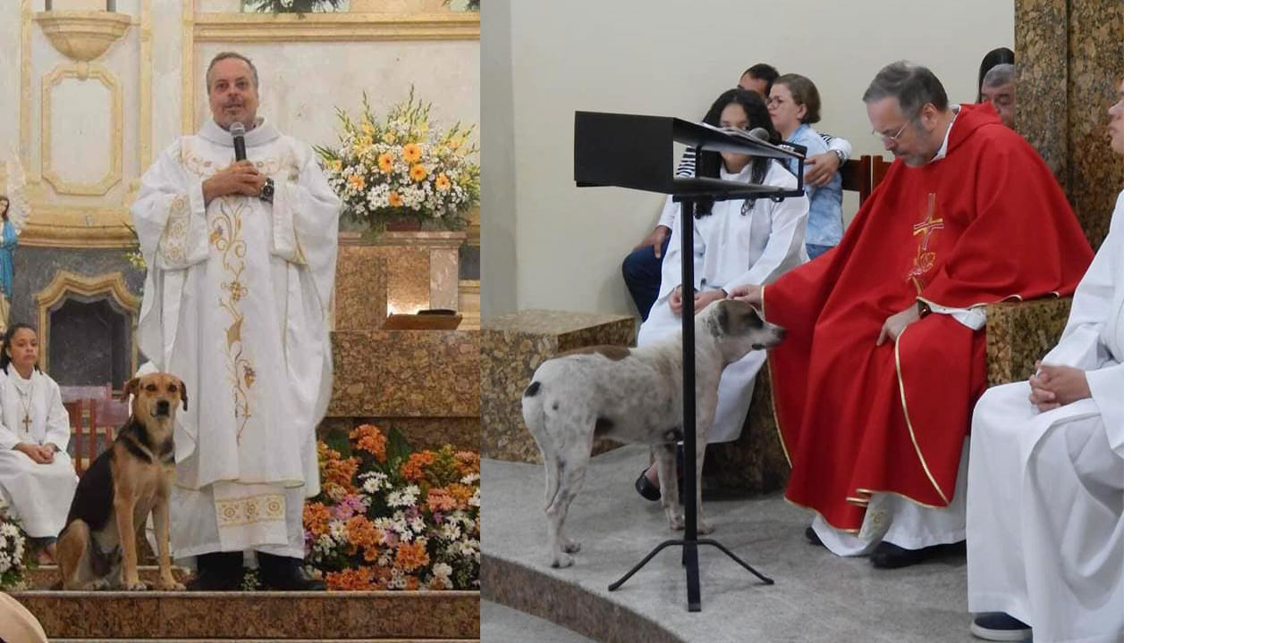 El “curita” que lleva perros callejeros a misa para ser adoptados