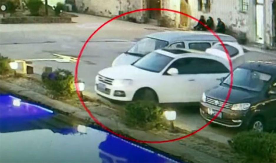 Perro aceleró el autode su dueño y lo metió a una pileta