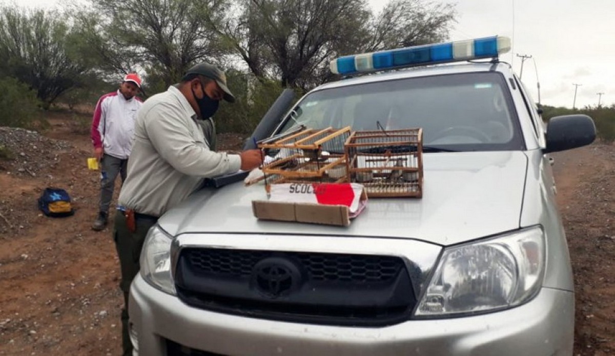 “Cazaron” a los cazadores y depredadores de la fauna sanjuanina