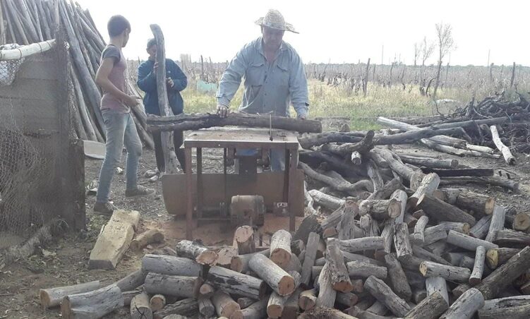 Hizo leña su viñedo y vendió su tractor para irse a vivir a Italia