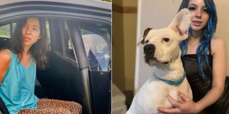 Videos: abusó de su perro y subió perturbadores filmaciones a las redes