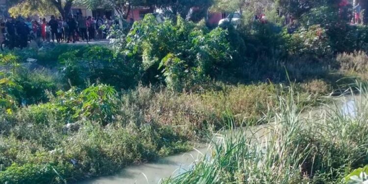 Horror: encontraron un cadáver dentro de una bolsa