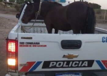 “Jinetechorro” fue detenido tras dos robos consecutivos