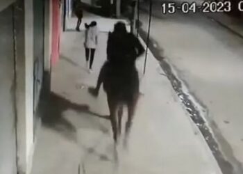 Jinetechorro: salió a robar a caballo y persiguió a las víctimas