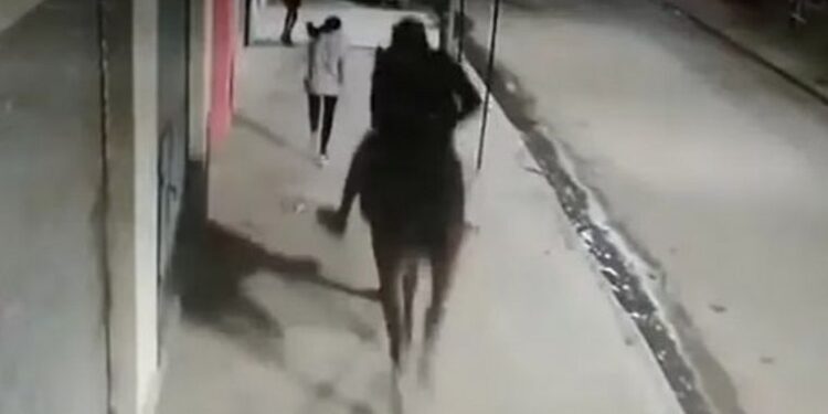 Jinetechorro: salió a robar a caballo y persiguió a las víctimas