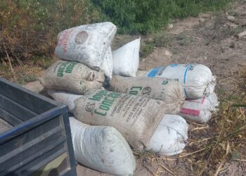 Recuperan dos toneladas de pasas robadas en Caucete