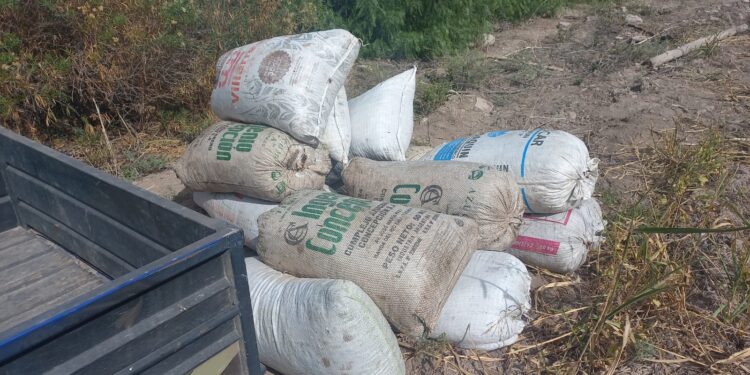 Recuperan dos toneladas de pasas robadas en Caucete