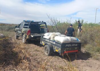 Recuperan dos toneladas de pasas robadas en Caucete