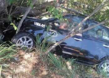 Perdió el contról, se estrelló en un árbol y las ramas se clavaron en su cuerpo