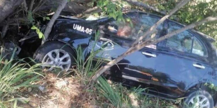 Perdió el contról, se estrelló en un árbol y las ramas se clavaron en su cuerpo