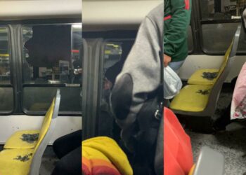 Terror en el ingreso a Caucete: atacan a piedrazos a colectivos y autos para robarles