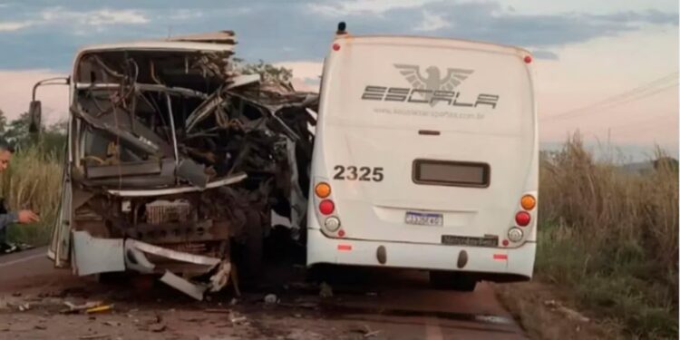 Dos micros se estrellaron de frente en la ruta: hay 3 personas fallecidas y 10 heridos