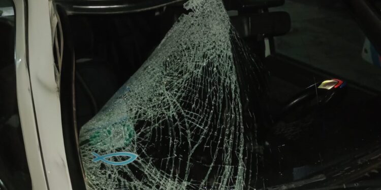 Identificaron al joven que murió tras tirarse atropellado por un auto