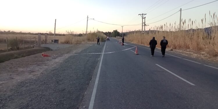 Identificaron al joven que murió tras tirarse atropellado por un auto