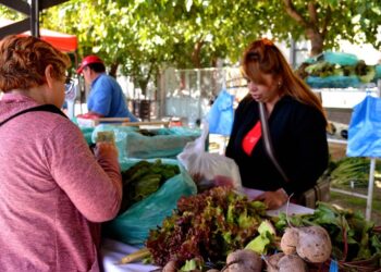 Más de 100 feriantes serán parte de una nueva edición de la Feria Agroproductiva