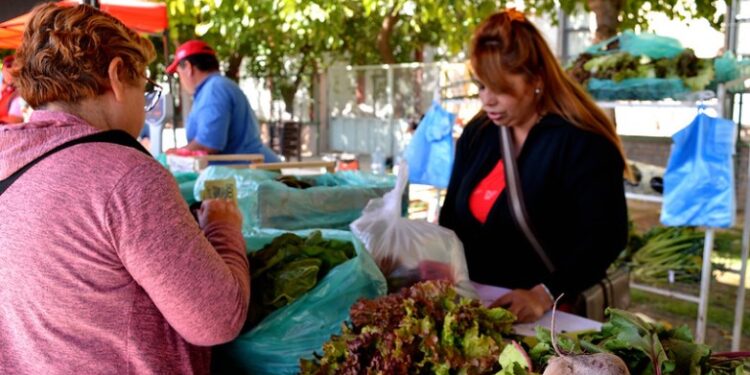 Más de 100 feriantes serán parte de una nueva edición de la Feria Agroproductiva
