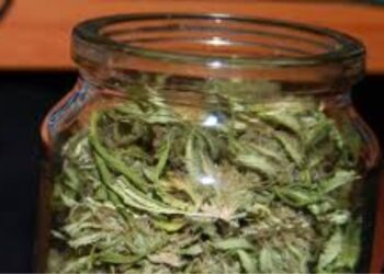 Atrapan y detienen a un joven de 23 años con 20 gramos de marihuana