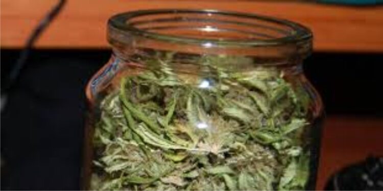 Atrapan y detienen a un joven de 23 años con 20 gramos de marihuana