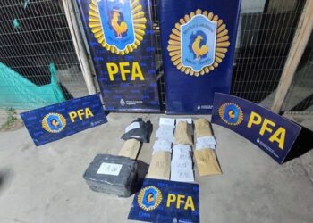 Incautan 30 kilos de marihuana, cocaína, armas y 150 mil pesos en Rivadavia
