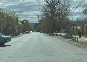 Identificaron al anciano que murió luego de ser atropellado brutalmente