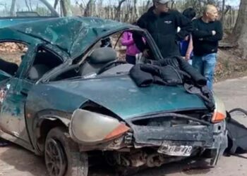 Tragedia: una nena de 5 años murió luego de que su madre chocara contra un árbol