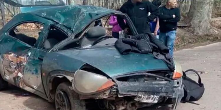 Tragedia: una nena de 5 años murió luego de que su madre chocara contra un árbol