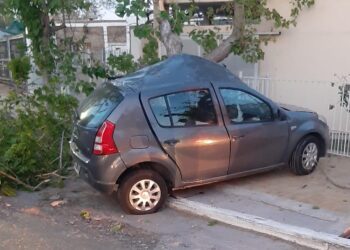 Tragedia: identificaron al joven que murió tras estrellar su auto contra un árbol