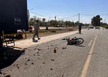Intentó esquivar un perro, cayó de su moto, fue arrollado por un camión y murió