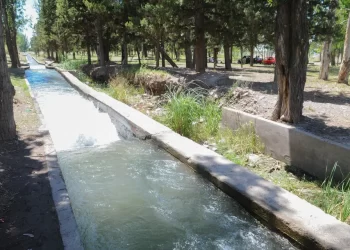 Tragedia: intentaron rescatar un perro de un canal y murieron ahogados