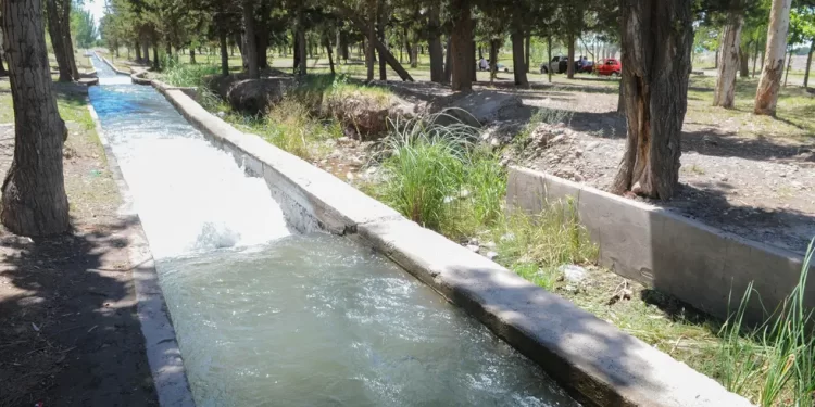 Tragedia: intentaron rescatar un perro de un canal y murieron ahogados