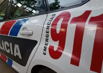 Detuvieron a un ladrón de ventanas en Albardón tras un rápido accionar policial