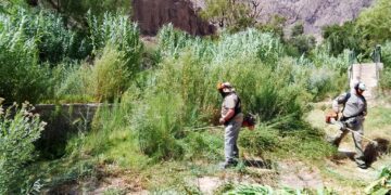 Parecía abandonado: limpieza y desmalezado en los piletones de la Quebrada de Zonda