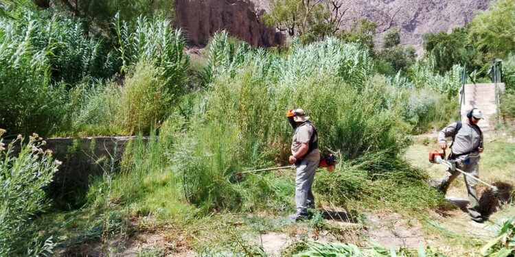 Parecía abandonado: limpieza y desmalezado en los piletones de la Quebrada de Zonda