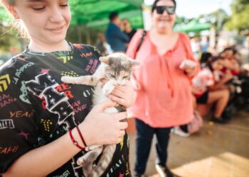 Capital: se esterilizaron a más de 80 perros y gatos en tres días