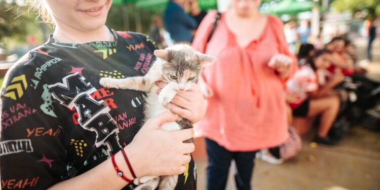 Capital: se esterilizaron a más de 80 perros y gatos en tres días