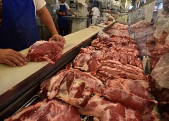 Los nuevos precios de la Feria de la Capital: El asado no subió