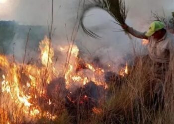 San Juan: Vecinos denuncian que menores de edad provocaron un incendio
