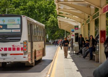 Prorrogan hasta el 15 de abril la renovación de credenciales estudiantiles y docentes
