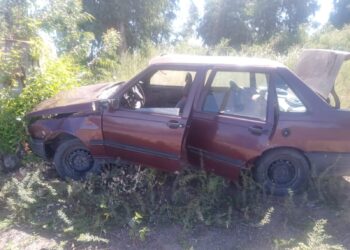 Un conductor sanjuanino impactó contra un árbol de frente: Un menor quedó internado