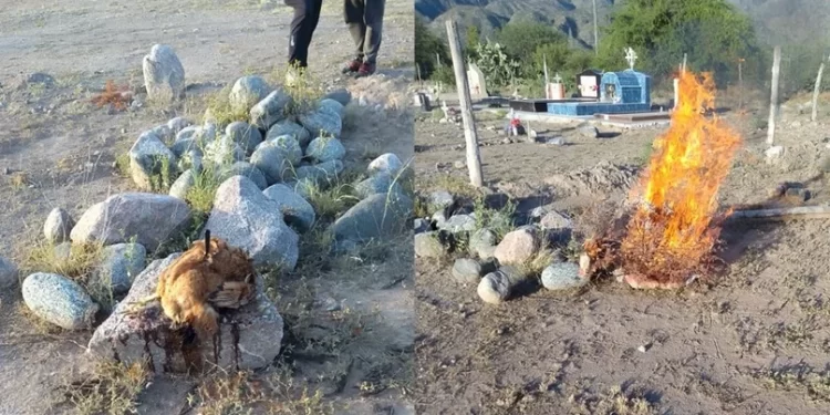 Brujería en el Cementerio: Encontraron una gallina sacrificada junto a una fogata