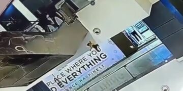 Se cayó un bebé de los brazos de su padre en un shopping y murió