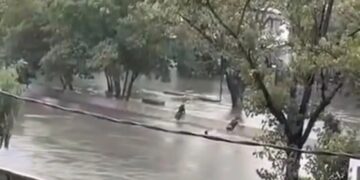 Encontraron sin vida al menor de edad que se lanzó un zanjón y no sabía nadar