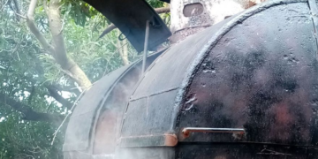 Tres sanjuaninos intentaron robarse un “chulengo”